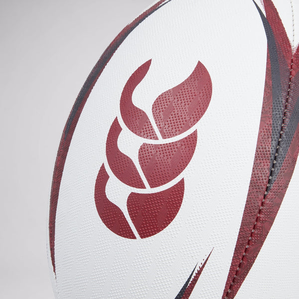 British & Irish Lions - Mentre Sponsor Ball