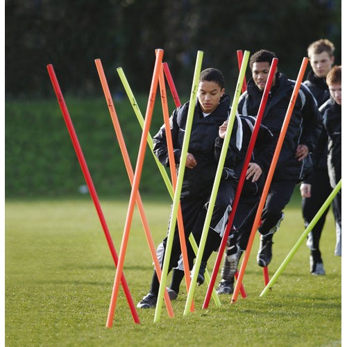 Precision Boundary Poles Set of 12 -DS