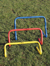 Precision Agility Hurdle -DS