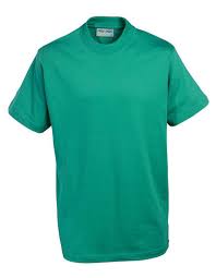 Blue Max Champion T- Shirt - Jade Green