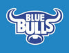 Blue Bulls Rugby