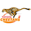 Toyata Cheetahs Rugby