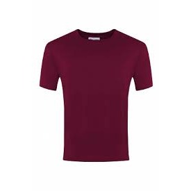 Blue Max Champion  T-Shirt - Burgundy