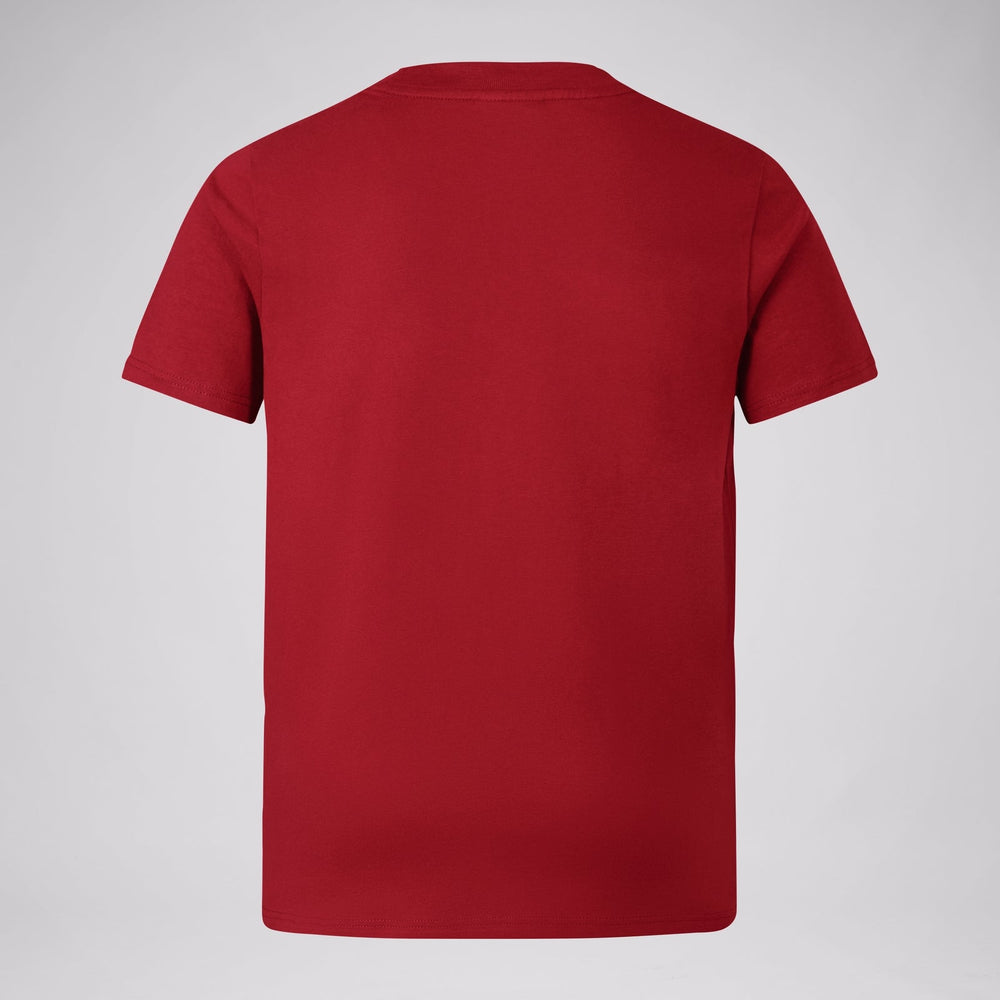 British & Irish Lions - Cotton Tee - Juniors - Red