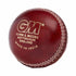 GM Catalyst Cricket Ball -DS