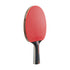 Dunlop Blackstorm TT Bat -DS