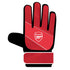Team Merchandise Goalkeepers Gloves -DS