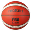 Molten 4500 Premium Composite Basketball-DS