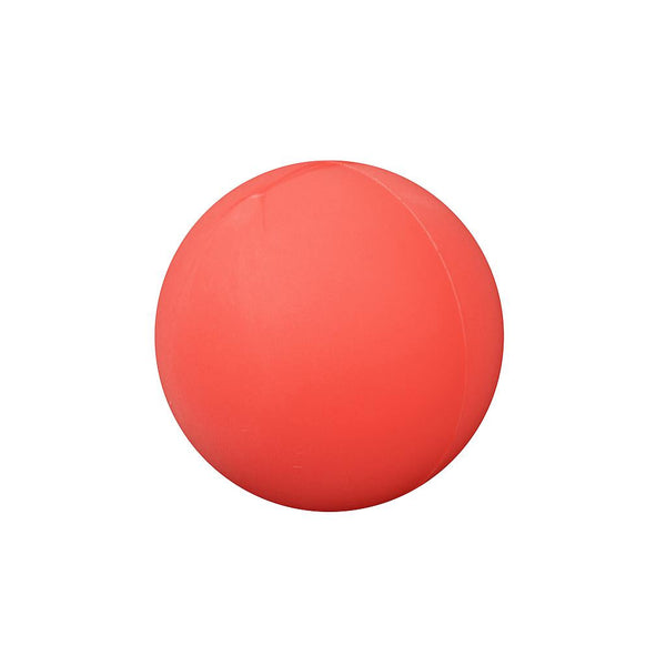 Uncoated Foam Ball -DS