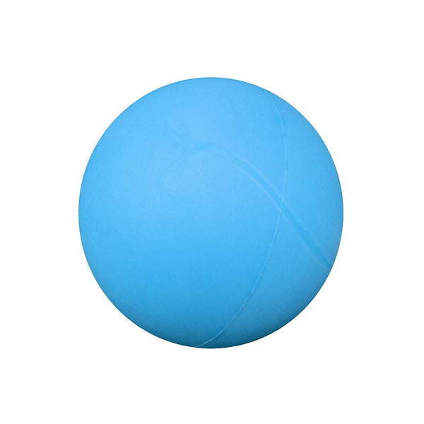 Uncoated Foam Ball -DS