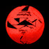 Murphy's LED Light up Gaelic Football -DS