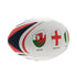 files/InternationalTournamentThemedRugbyBall_2_6bd98892-5a2d-4ed6-8055-bbea25c093f5.jpg