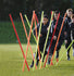 Precision Boundary Poles Set of 12 -DS