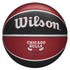Wilson NBA Team Tribute Chicago Bulls Basketball -DS
