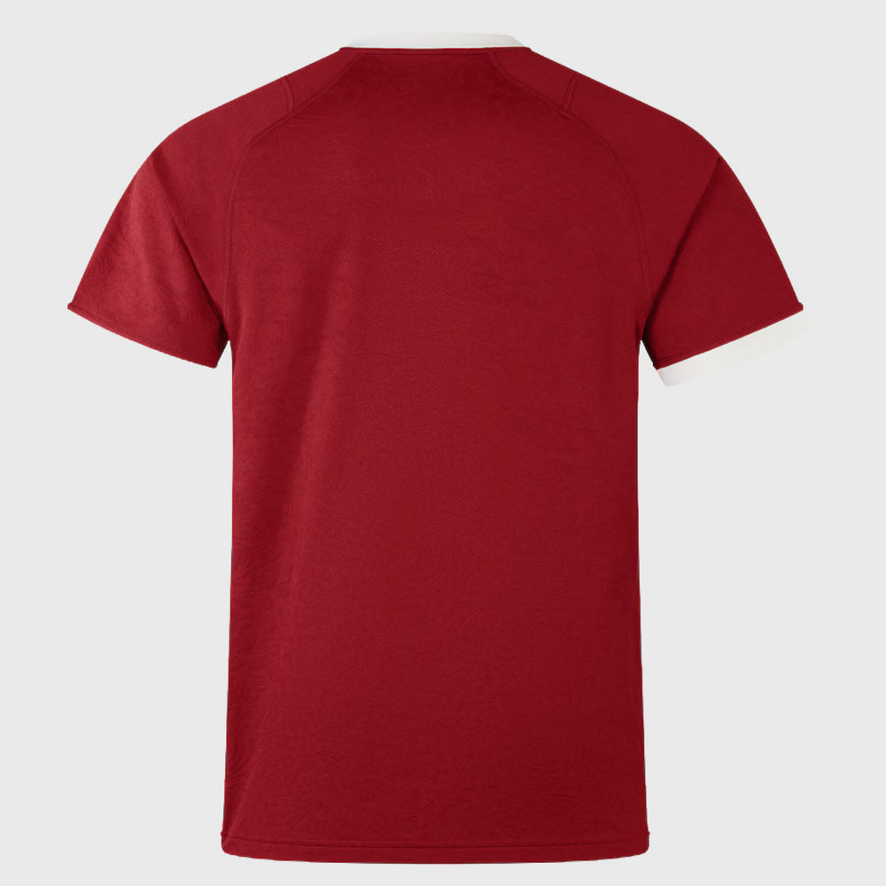 British & Irish Lions - Replica Jersey